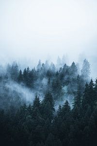 Mist door het bos in Dolomieten van Dylan Shu