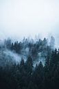 Brouillard dans la forêt des Dolomites par Dylan Shu Aperçu