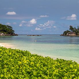 Zandstrand op het Seychellen eiland Mahé van Reiner Conrad