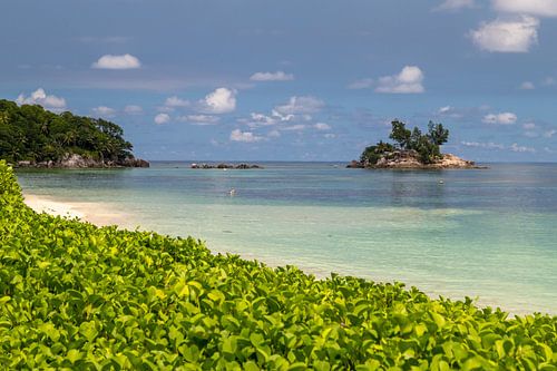 Sandy beach on the Seychelles island Mahé