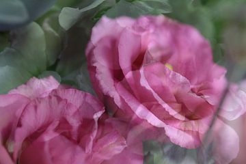 Diep roze roos van Art by Janine