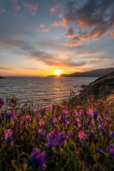 Sonnenuntergang an der Küste Sardiniens von Leo Schindzielorz