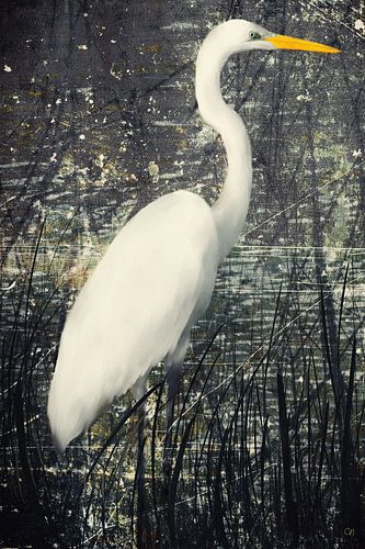 Grote witte zilverreiger in het alluviale bos