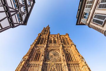 Cathédrale de Strasbourg à Strasbourg en Alsace - France sur Werner Dieterich