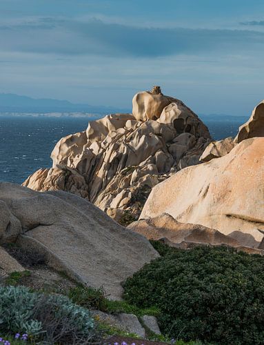 rocks and sea in palua on sardinia island