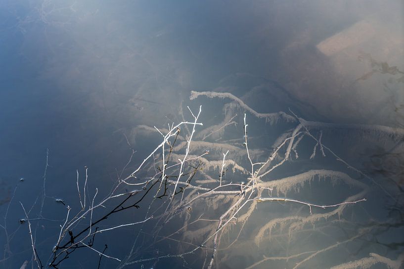 Branches in water by Marijke de Leeuw - Gabriëlse