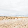 Vergezichten over Zuid-Hollandse duinen | Monster, Nederland van Wandeldingen