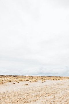 Vue sur les dunes de Hollande méridionale | Monster, Pays-Bas
