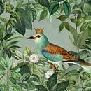 The Bird King by Andrea Haase thumbnail