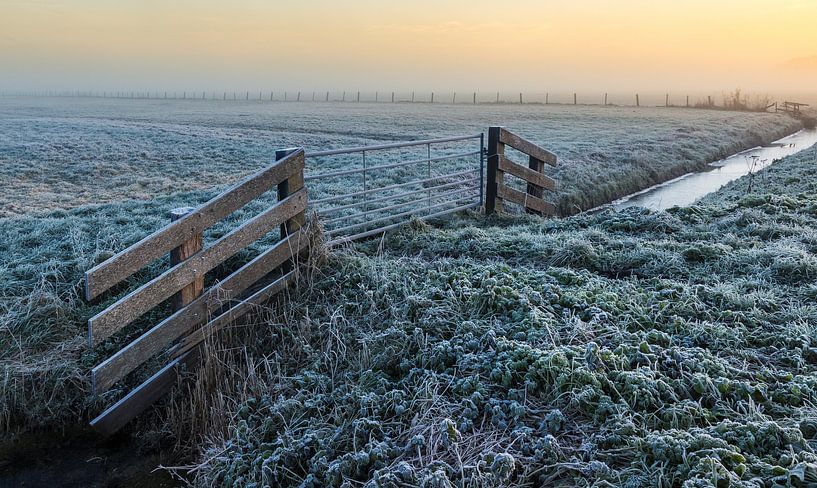 Ripe on the meadow by peterheinspictures