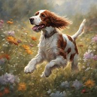 Welsh Springer Spaniel jouant dans un champ de fleurs