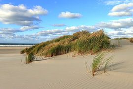Dutch dune landscape under cloudy sky by FotoBob