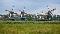 Moulins avec voile d'été, Zaanse Schans