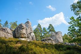 Quartz formation Geotope Grosser Pfahl near Viechtach Lower Bavaria