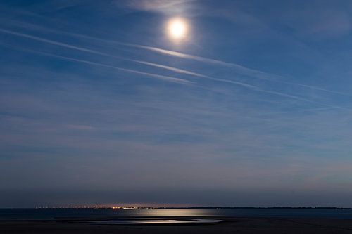 Maanlicht op de Maasvlakte van Danny de Jong