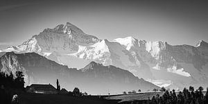 Panorama der Schweizer Alpen in Schwarz und Weiß