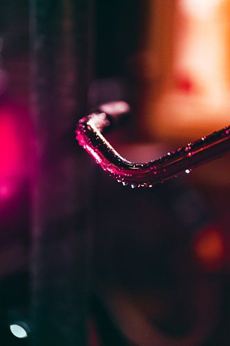 Evening steps (vertical)