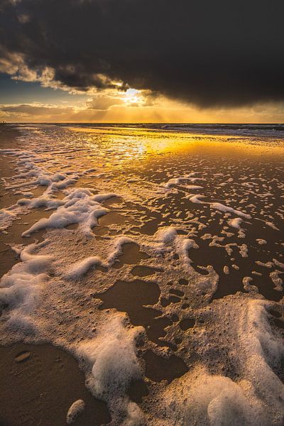 Mousse par peterheinspictures