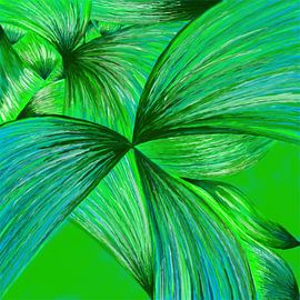 Lijnen by Monique Schilder