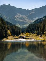 Autumn colors in Lichtenstein