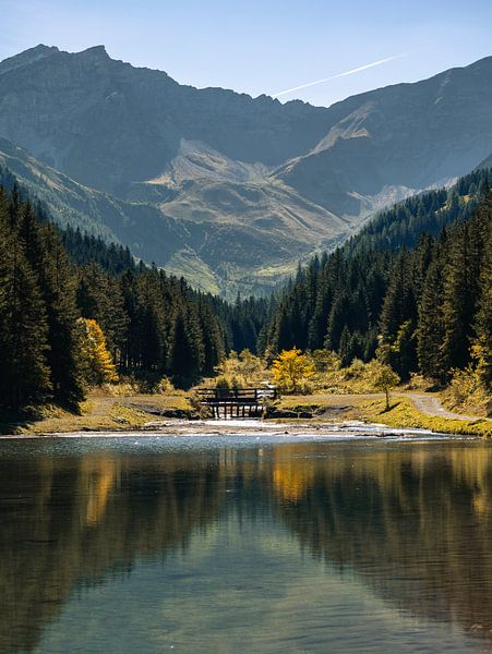 Couleurs d'automne au Lichtenstein par Joren van den Bos