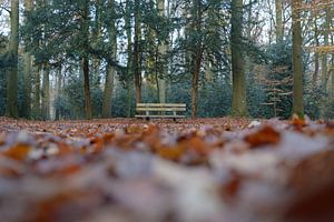 Les Paterswolde de jachère