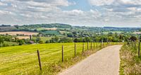 Panorama  van het Zuid-Limburgse landschap in de buurt van Gulpen van John Kreukniet thumbnail