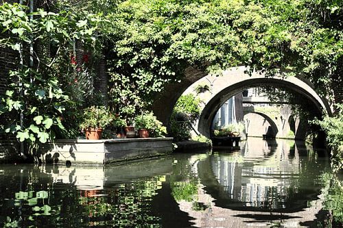 Heaven on earth to water