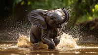 Bébé éléphant jouant dans l'eau
