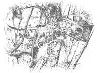 Caterpillar 1