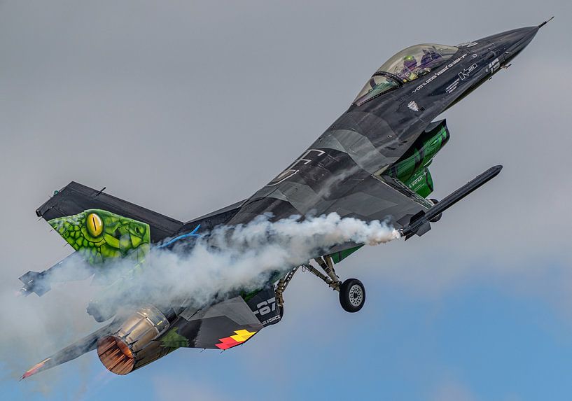 F-16 Demo Team Force aérienne belge : le Viper de rêve. par Jaap van den Berg