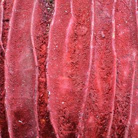 Textuur in Rood van Huub Westendorp