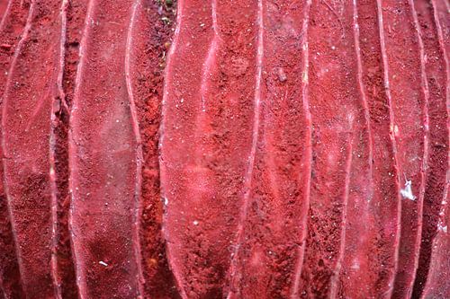 Textuur in Rood