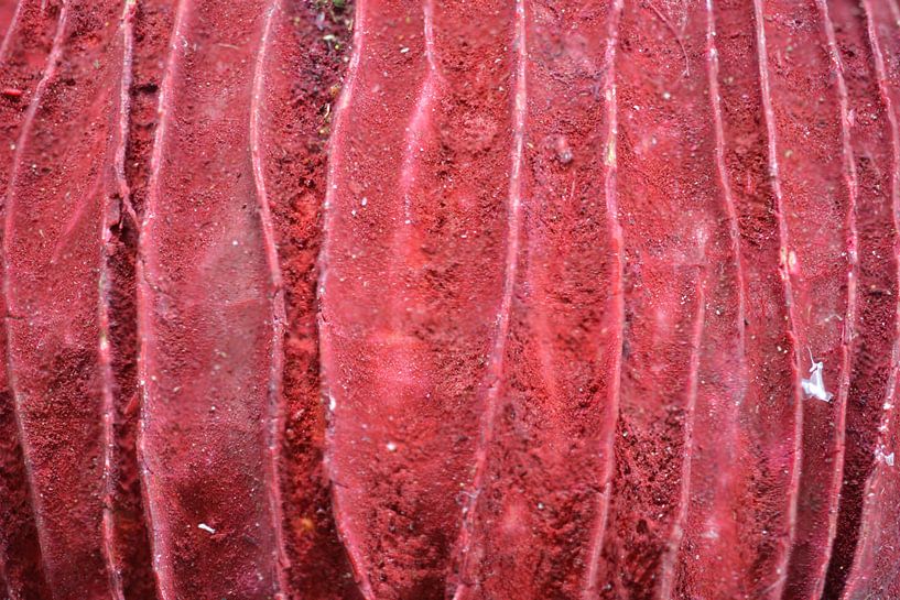 Texture in Red by Huub Westendorp