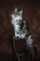 Vintage Fine Art Portrait Maine Coon Katze