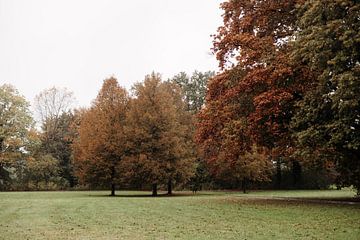 Herfstpracht in 'De Maat': Een Kleurensymfonie van Natuurlijke Schoonheid van Heleen. Visual Storytelling