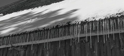 Icicles on thatched roof
