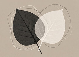 Balance of Leaves – Soft Neutral & Line Art by Julian Cross