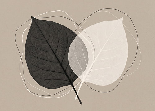 Balance of Leaves – Soft Neutral & Line Art