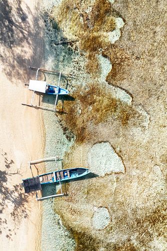 Aerial Summer - Coral Beach