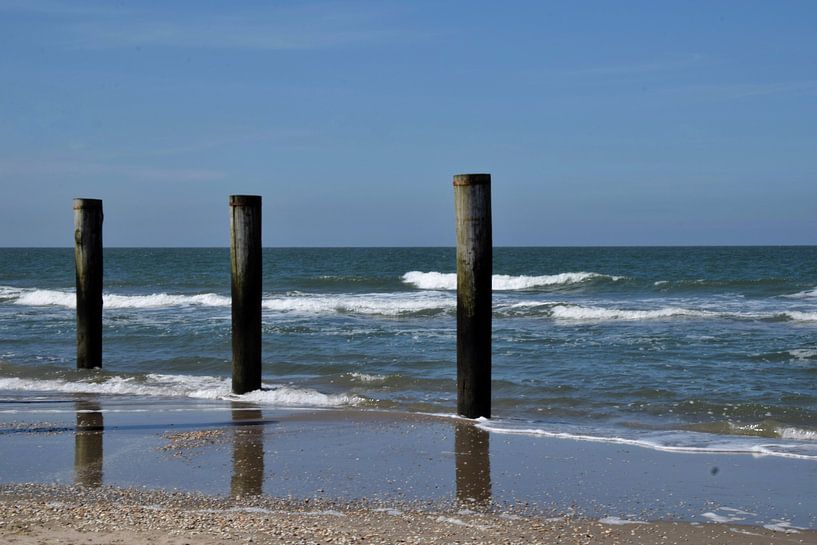 Palmendorf am Strand von Petten von Corine Dekker