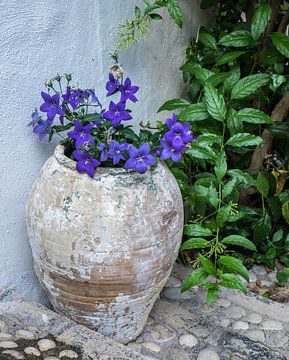Spaanse pot met bloemen van Jellie van Althuis
