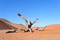 Sossusvlei, minimalistisch landschap