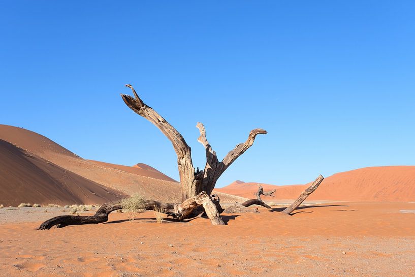 Sossusvlei, minimalist landscape by Nicolas Vangansbeke
