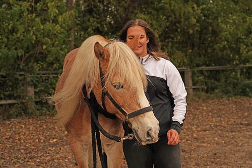 Fotoshoot met lichtbruine Haflinger met beige manen