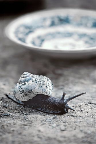 Betoverende Slak met Delfts Blauw Huisje: Een Harmonieuze Fusie van Natuur en Kunst