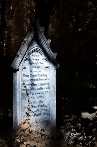 Graceful ivy on tombstone