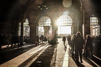 Rijksmuseum 2