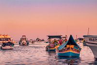 Traditional Maltese fishing boats at sunset | Landscape