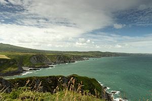 Bright Dinas Head